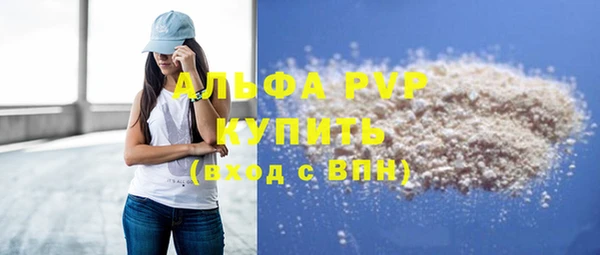 прущие грибы Богданович
